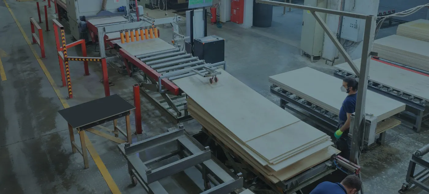 Birch plywood production line at the Palati mill