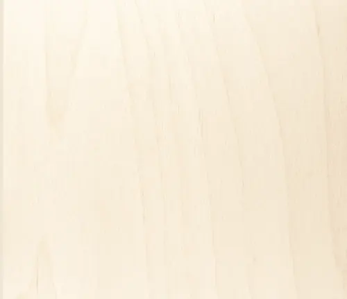 Plywood BB/BB — surface