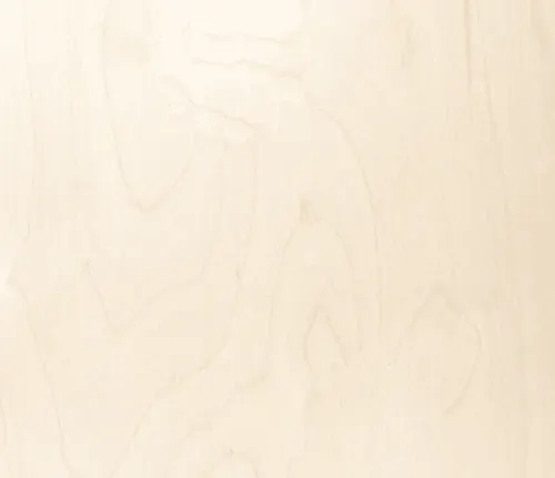 Plywood BB/CP — surface