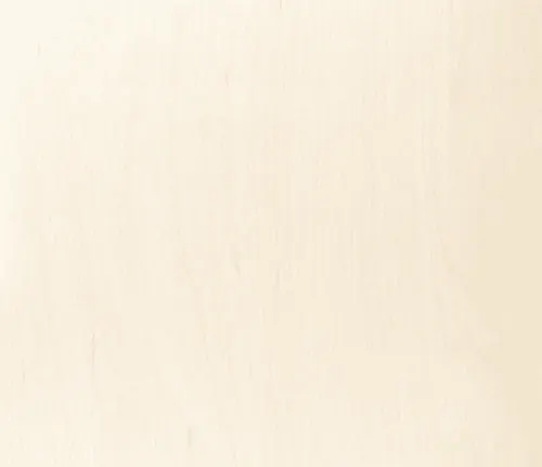 Plywood CP/CP — surface